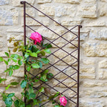 Outdoor Linear Trellis Bronze H100cm W48cm - Rogey