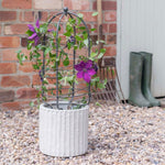 Outdoor Pot Plant Support Zinc H75cm D26cm - Rogey