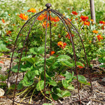 Outdoor Wire Netted Plant Protector Bronze H55cm W47 - Rogey