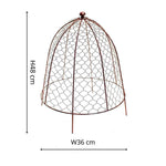 Outdoor Wire Netted Plant Protector Bronze H55cm W47 - Rogey