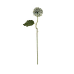 Pale Green Blue Short Chrysanthemum - Rogey