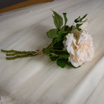 Peachy Cream Short Stem Rose Bouquet - Rogey