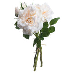 Peachy Cream Short Stem Rose Bouquet - Rogey