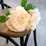 Peachy Cream Short Stem Rose Bouquet - Rogey