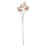 Pink Babys Breath Gypsophilia - Rogey