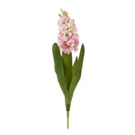 Pink Hyacinth Stem - Rogey