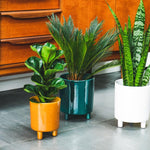 Pisa Emerald Planter H24Cm D20Cm - Rogey