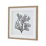 Reef Coral Art Mounted In Beaded Frame - Rogey