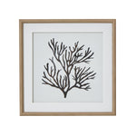 Reef Coral Art Mounted In Beaded Frame - Rogey