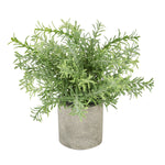 Rosemary Plant In Stone Effect Pot - Rogey