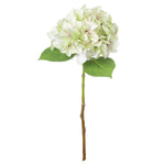 Shabby Green Single Hydrangea - Rogey