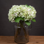 Shabby Green Single Hydrangea - Rogey