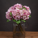 Shabby Pink Single Hydrangea - Rogey