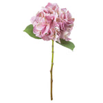 Shabby Pink Single Hydrangea - Rogey