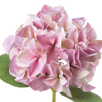 Shabby Pink Single Hydrangea - Rogey