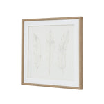 Solli White Feathers Art Mounted In Beaded Frame - Rogey