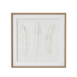 Solli White Feathers Art Mounted In Beaded Frame - Rogey