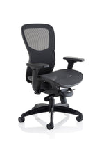 Stealth Shadow High Mesh Back Ergonomic Posture Chair with Arms - Rogey