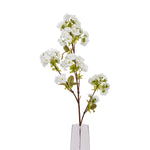 Tall White Blossom - Rogey