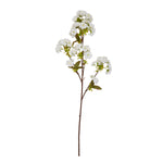 Tall White Blossom - Rogey