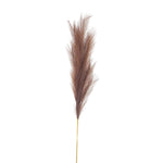 Taupe Large Faux Pampas Grass Stem - Rogey