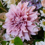 The Natural Garden Collection Pink Dahlia - Rogey