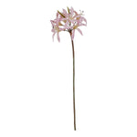 The Natural Garden Collection Pink Lily Stem - Rogey