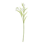 The Natural Garden Collection White Fritillaria Stem - Rogey