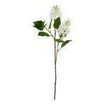 The Natural Garden Collection White Lilac Stem - Rogey