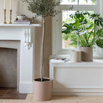 Valetta Ivory Terrazzo Planter Set of 3 - Rogey