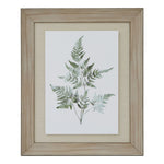 Watercolour Bracken Fern In Washed Wood Frame - Rogey