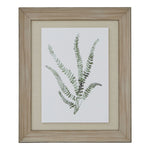 Watercolour Delicate Fern In Washed Wood Frame - Rogey