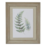 Watercolour Fern Duo In Washed Wood Frame - Rogey