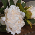 White Fashion Peony - Rogey