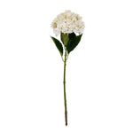 White Hydrangea Stem - Rogey