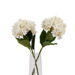 White Hydrangea Stem - Rogey