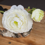 White Ranunculus Spray - Rogey