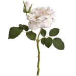 White Short Stem Rose - Rogey