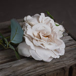 White Short Stem Rose - Rogey